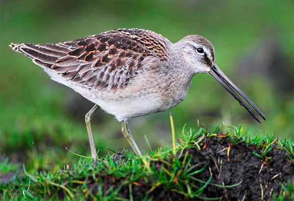 Pic: Christopher Cook / Alamy