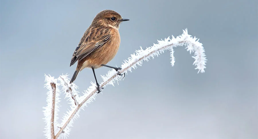 Pic: Iedrius Stakauskas / Alamy