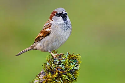 Pic: Glenn Bartley/Alamy