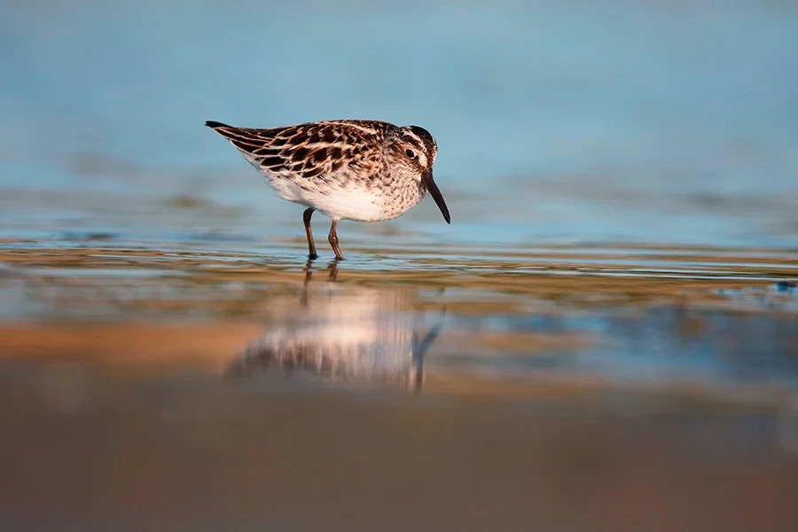 Mike Lane / Alamy