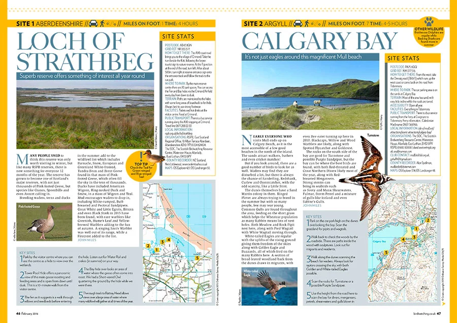 Go-Birding---Part-1-(Low-res-PDF)-1.jpg