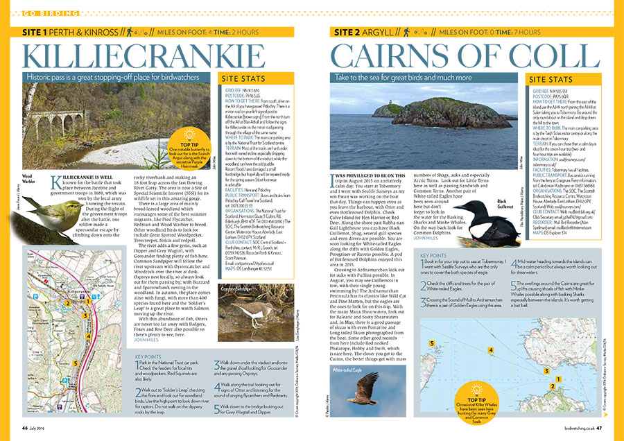 Go-Birding---Part-1-(Low-res-PDF)-1.jpg