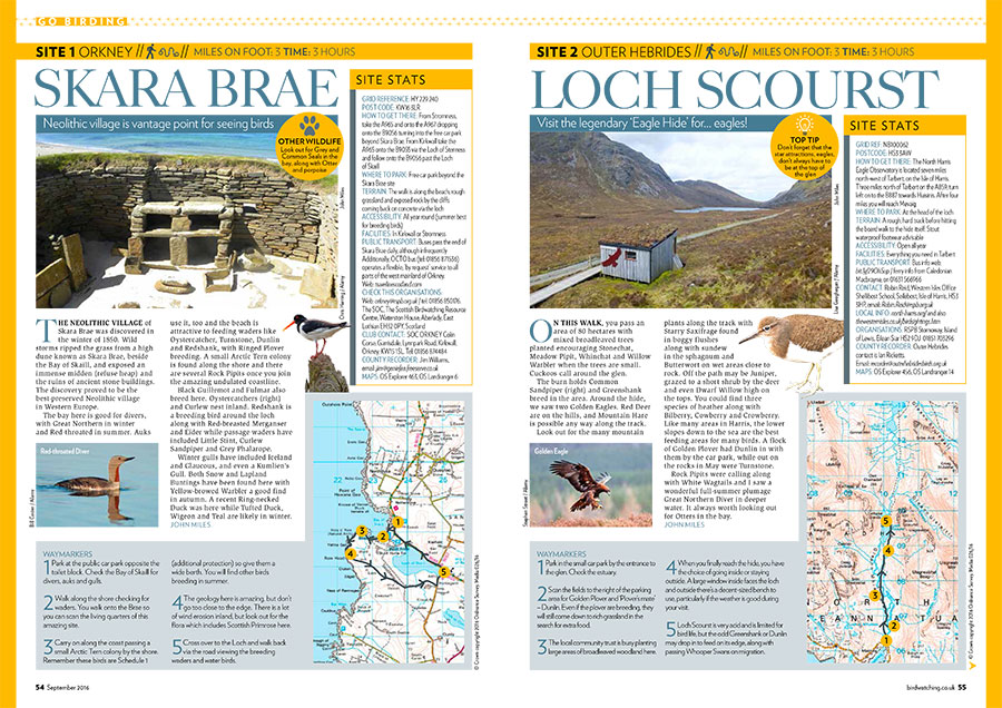 Go-Birding---Part-1-(Low-res-PDF)-1.jpg