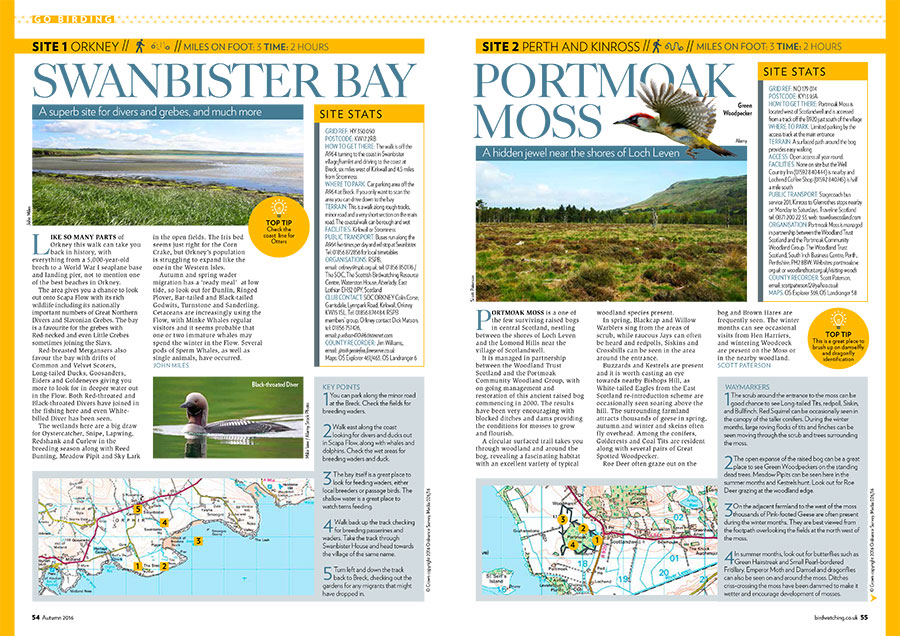 Go-Birding---Part-1-(Low-res-PDF)-1.jpg