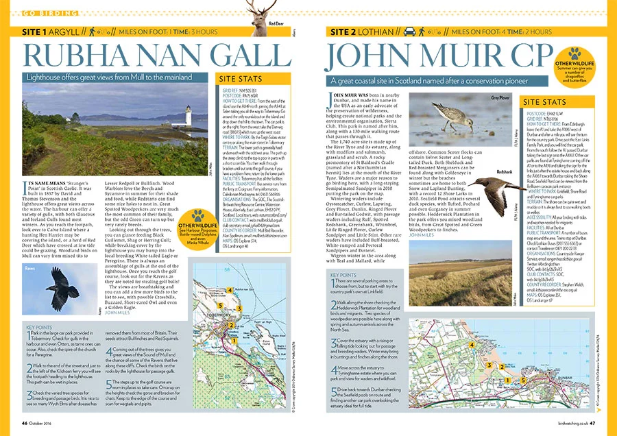 Go-Birding---Part-1-(Low-res-PDF)-1.jpg
