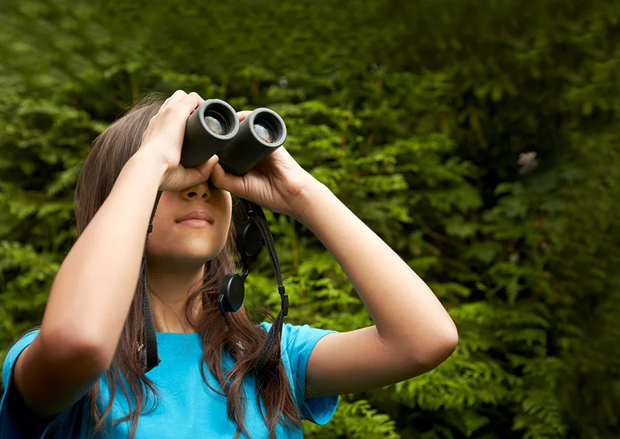 Pic: Mint Images Limited/Alamy