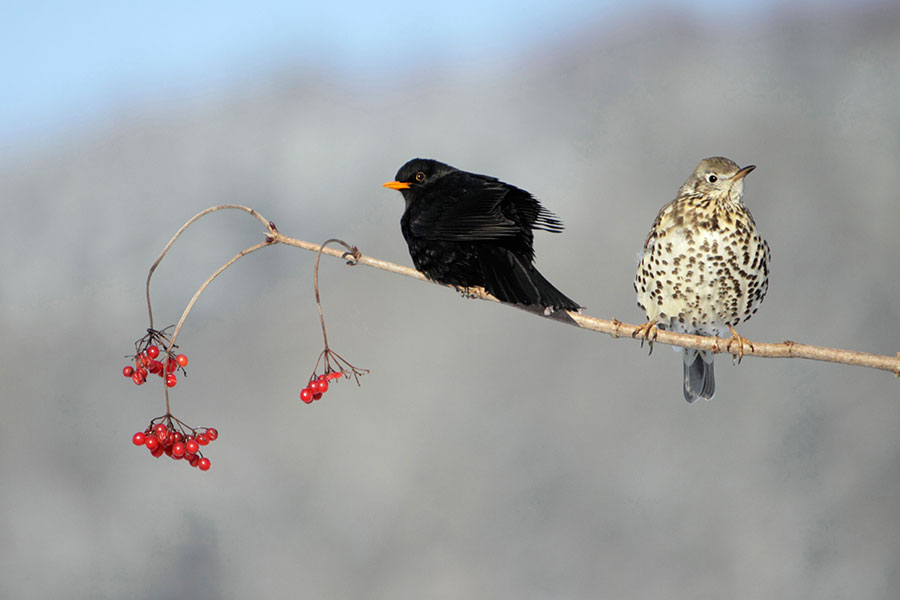 Derek Simpson/Alamy