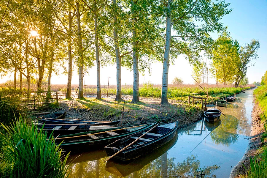 Lake Trasimeno parkerphotography/Alamy