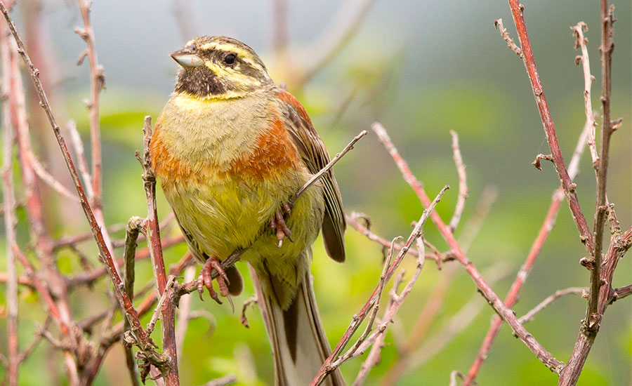 Simon Knight/Alamy