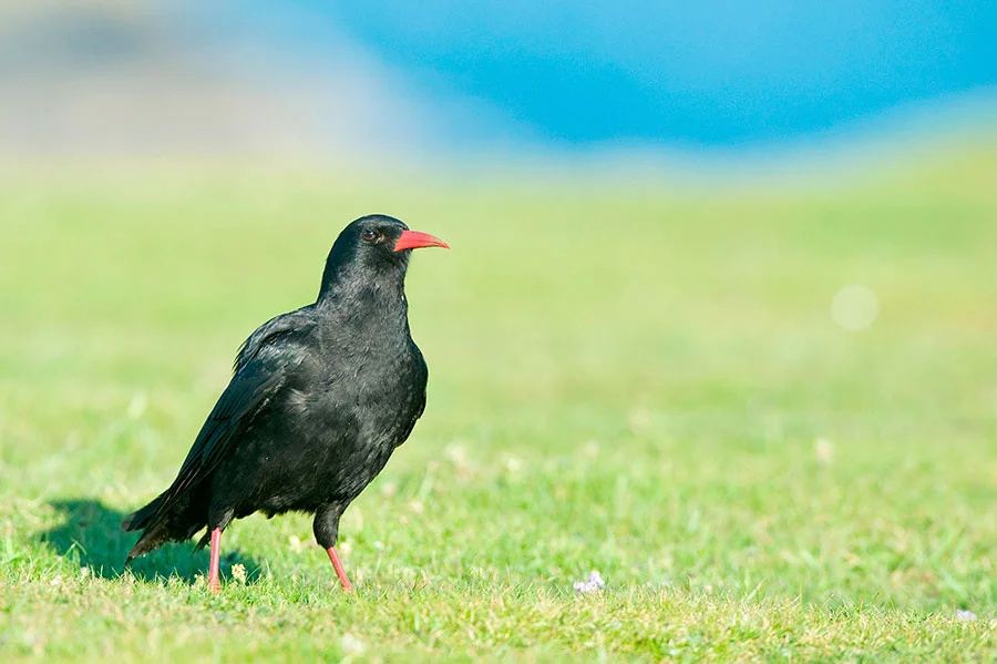 Green Planet Photography/Alamy