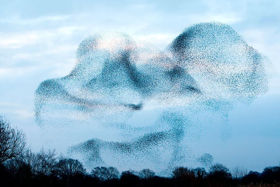 Mark Bretherton/Alamy
