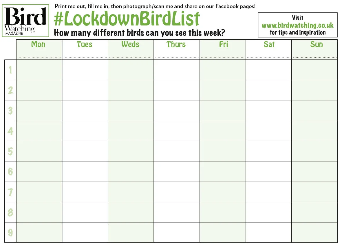 Bird Watching Magazine