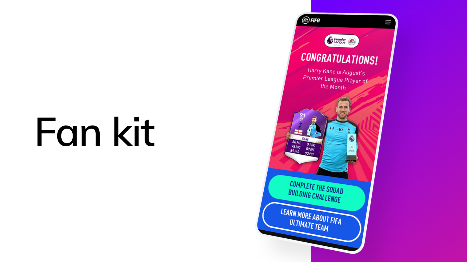 FanKit_test.png