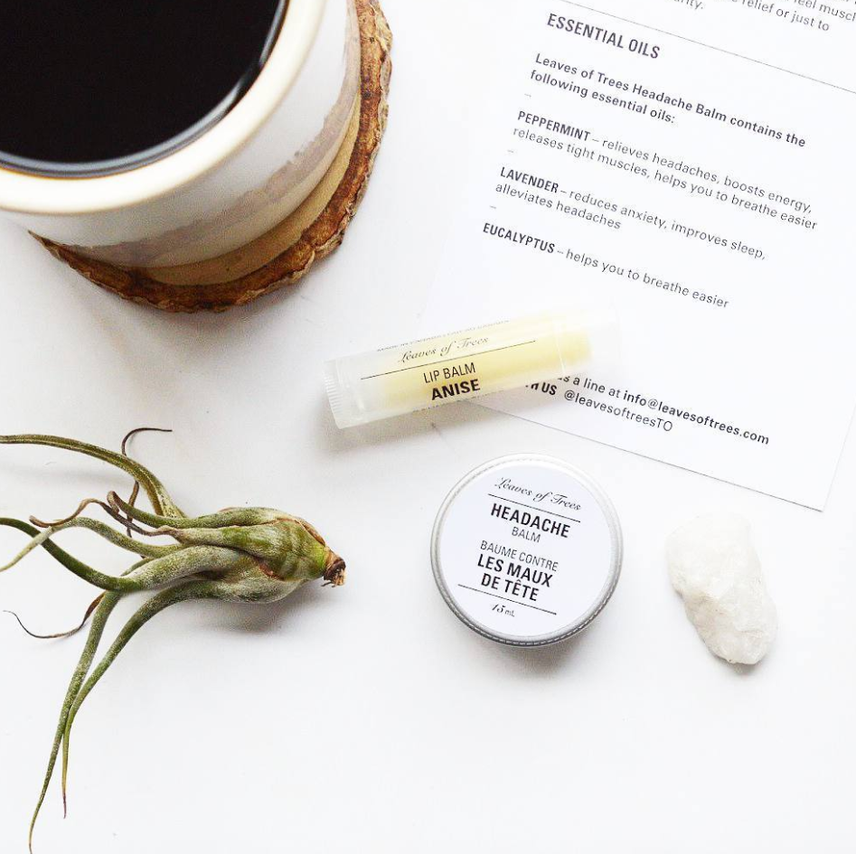 How to Build a Skincare Routine with Leaves of Trees.png