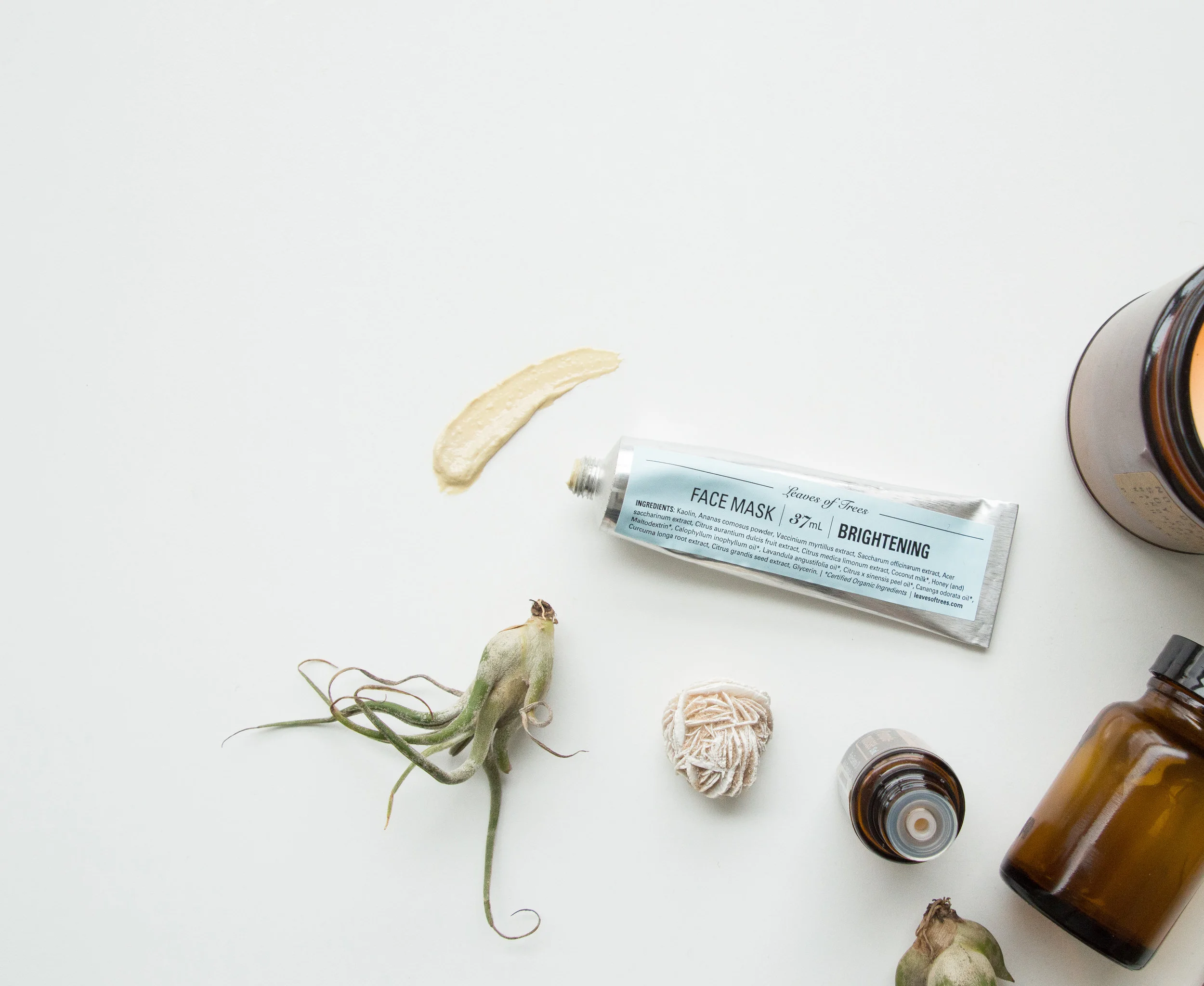 Leaves of Trees Brightening Face Mask Review.jpg