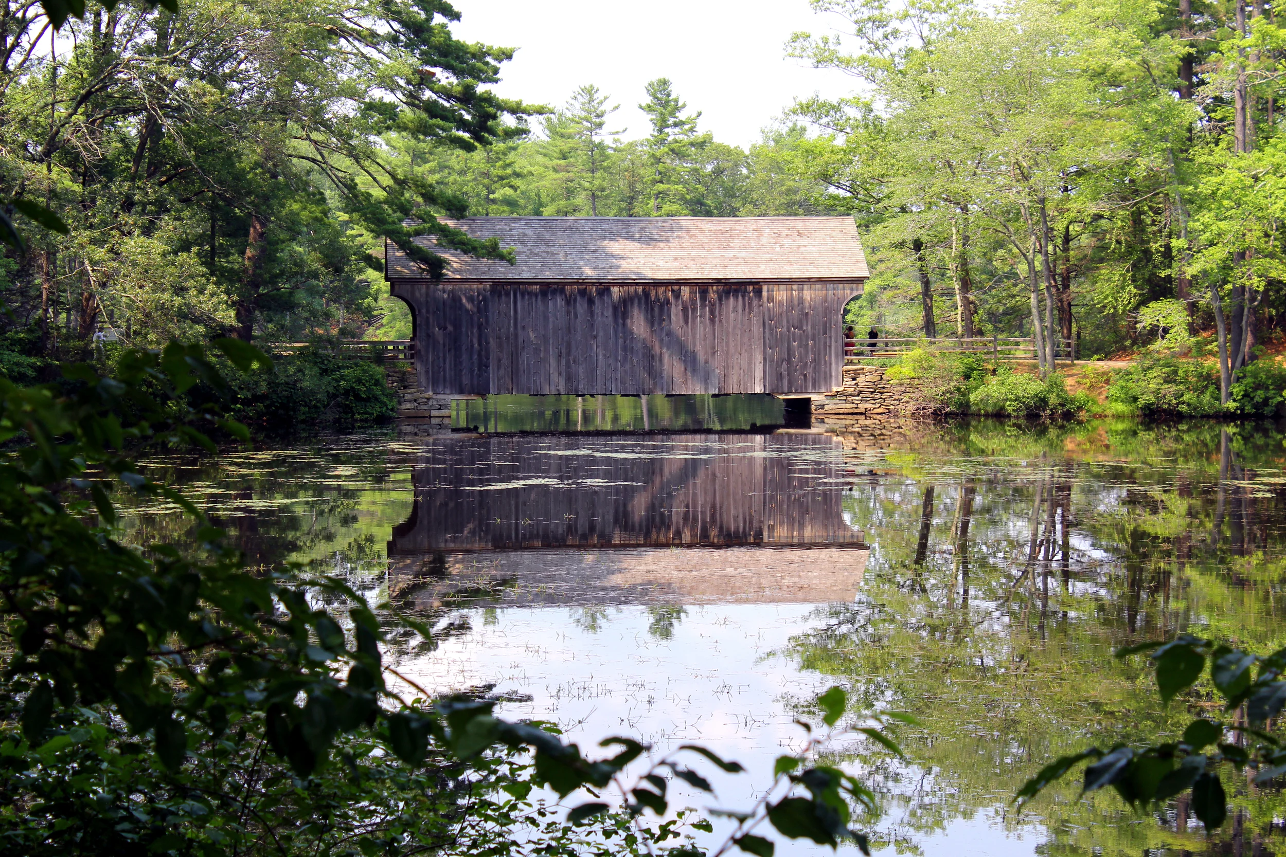 Boston Natural Reflections_calle.JPG