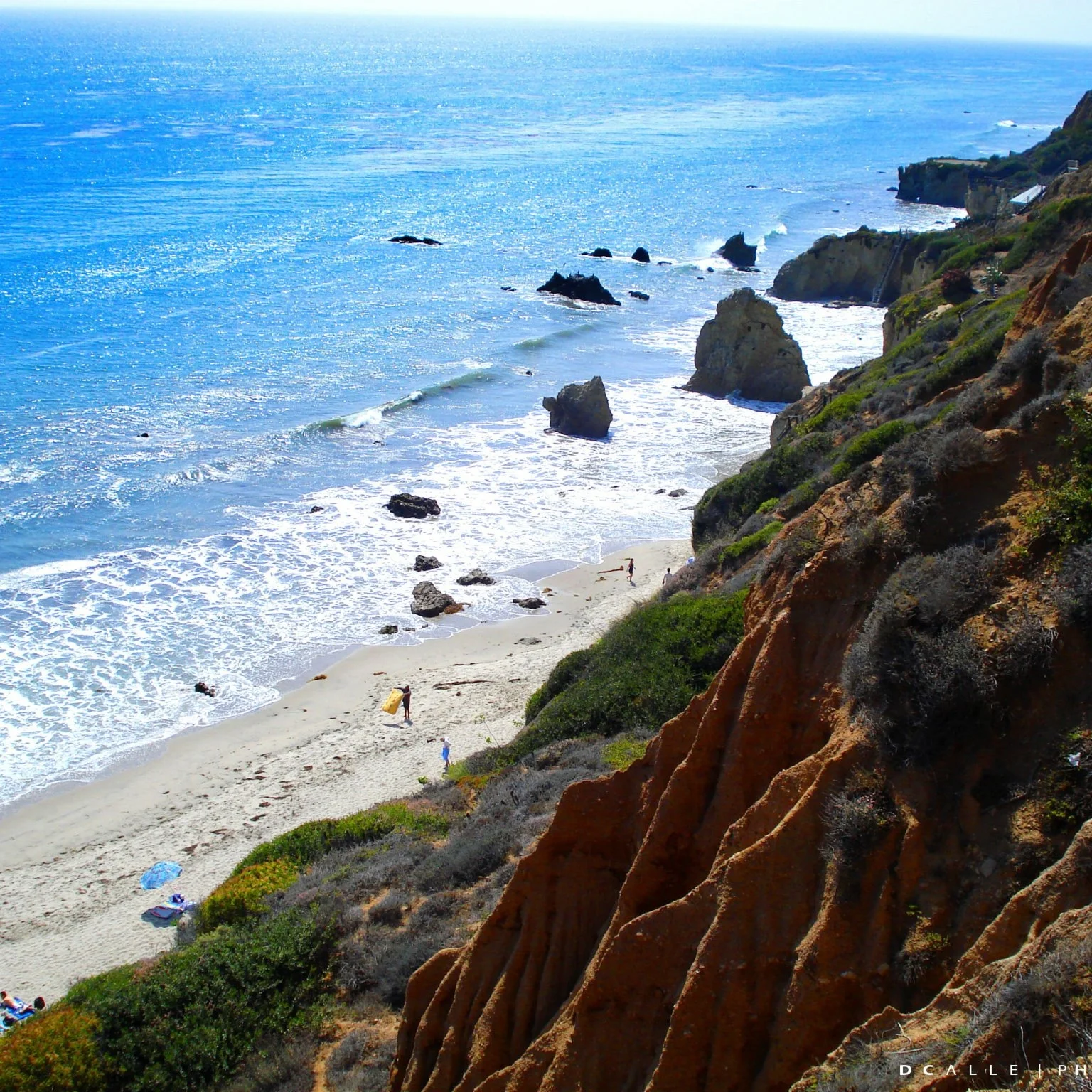 California_Calledesign.jpg