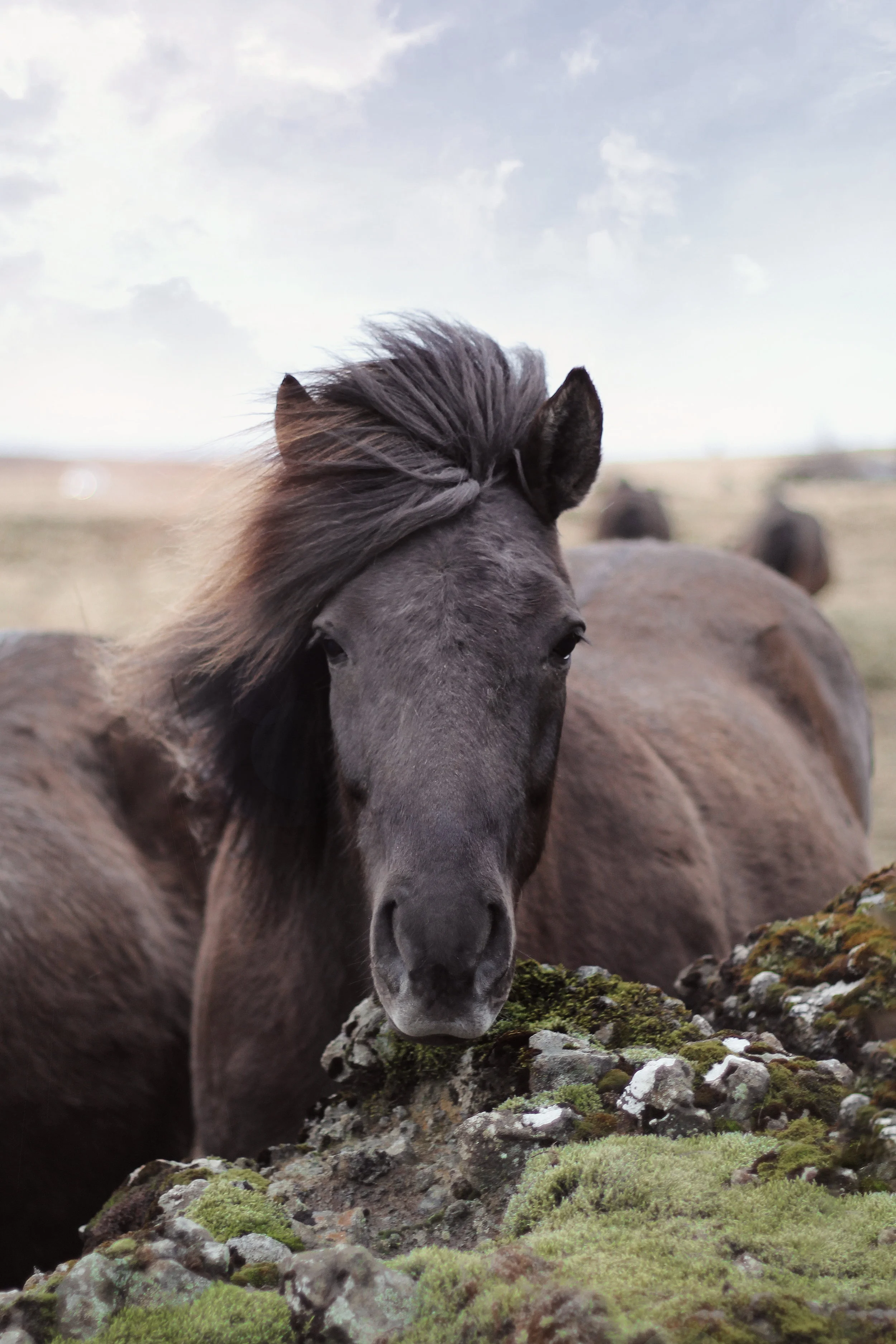 2018-05-07 02.32.28 1.jpg