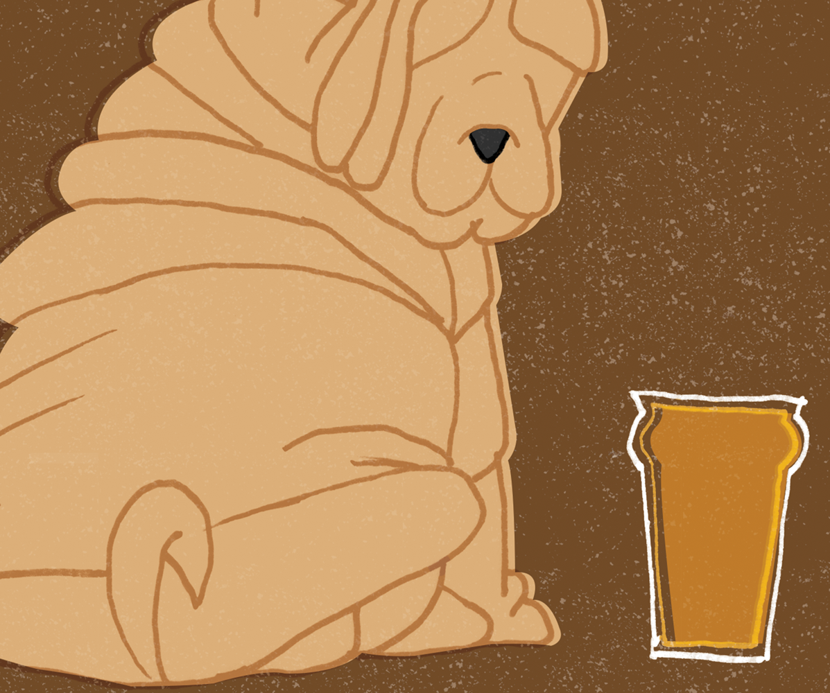 mockup6_detail.png