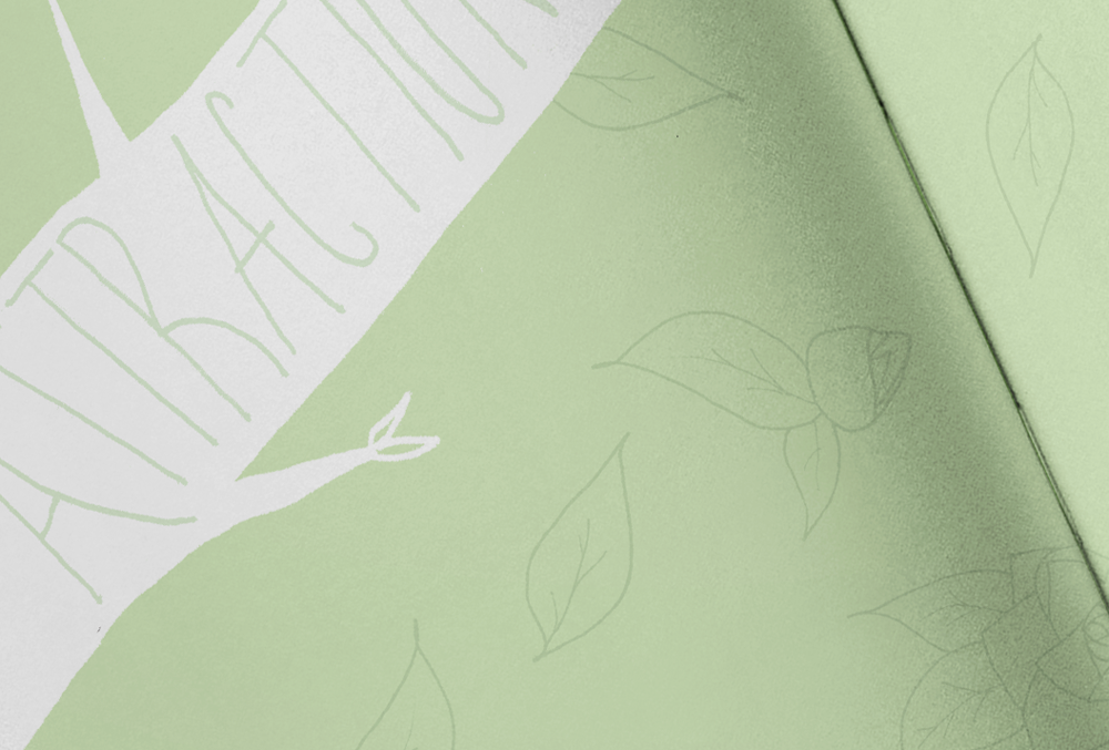 asheville11_detail.png