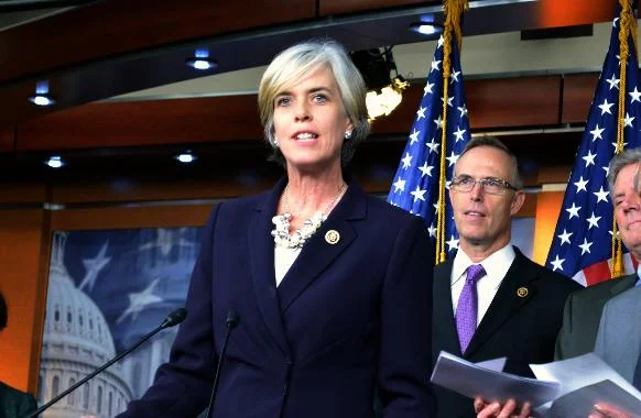 Clark, Herrera Beutler Secure $1 Million for Maternal Mental Health