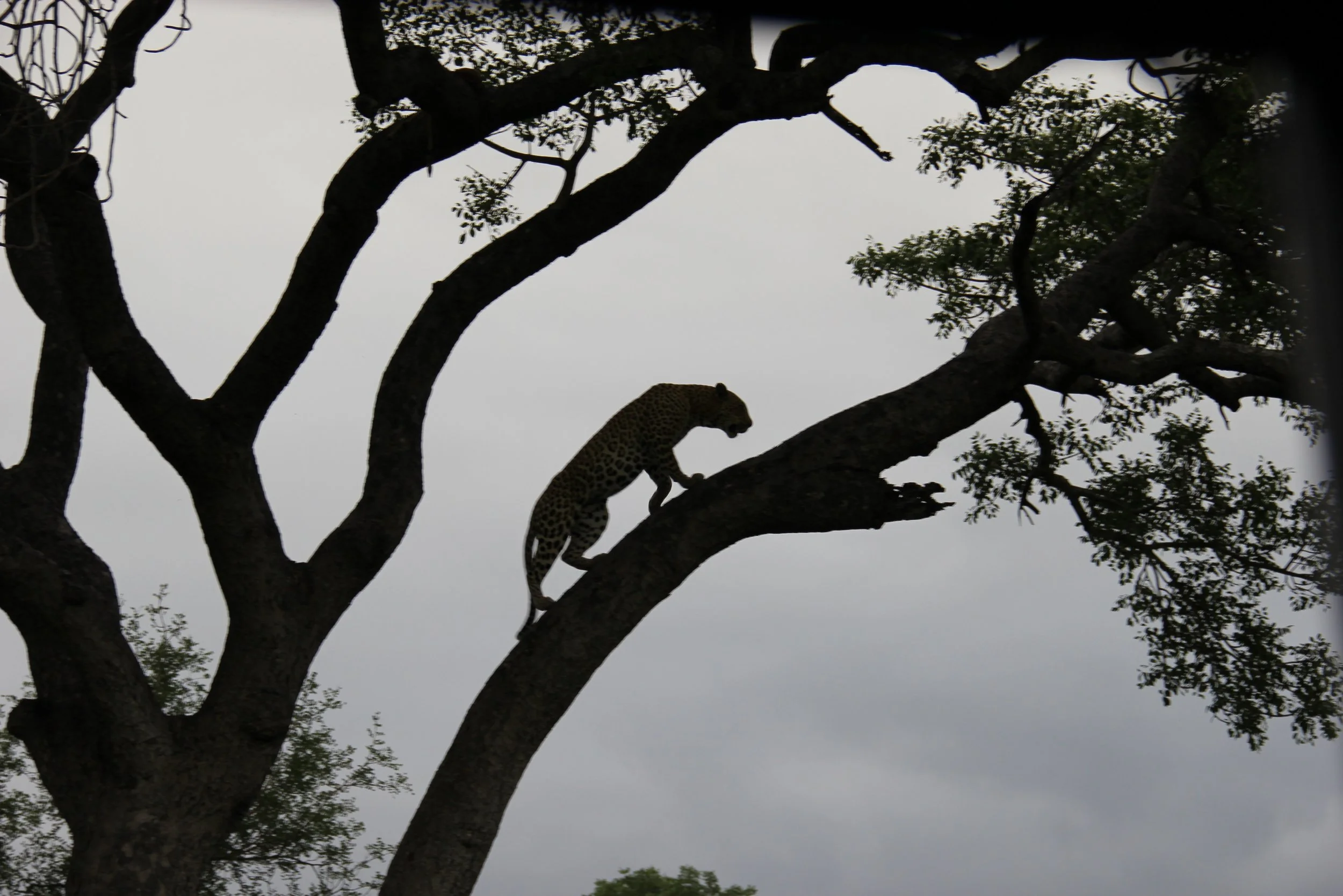 South Africa
