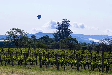Northern California