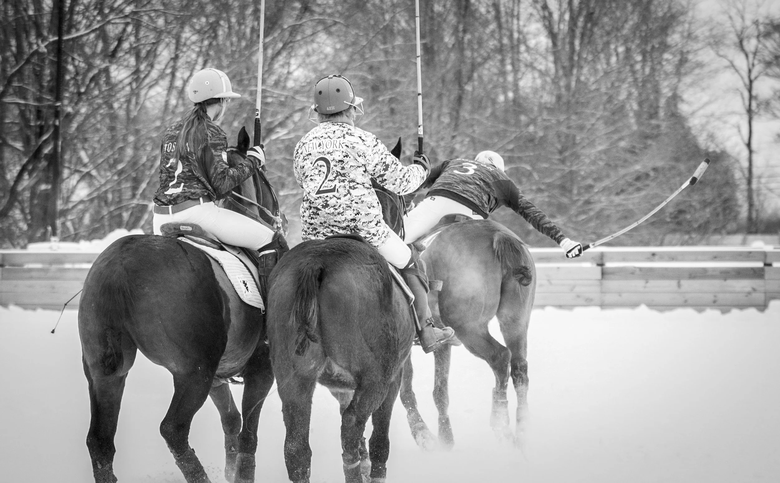 _MG_9104.jpg