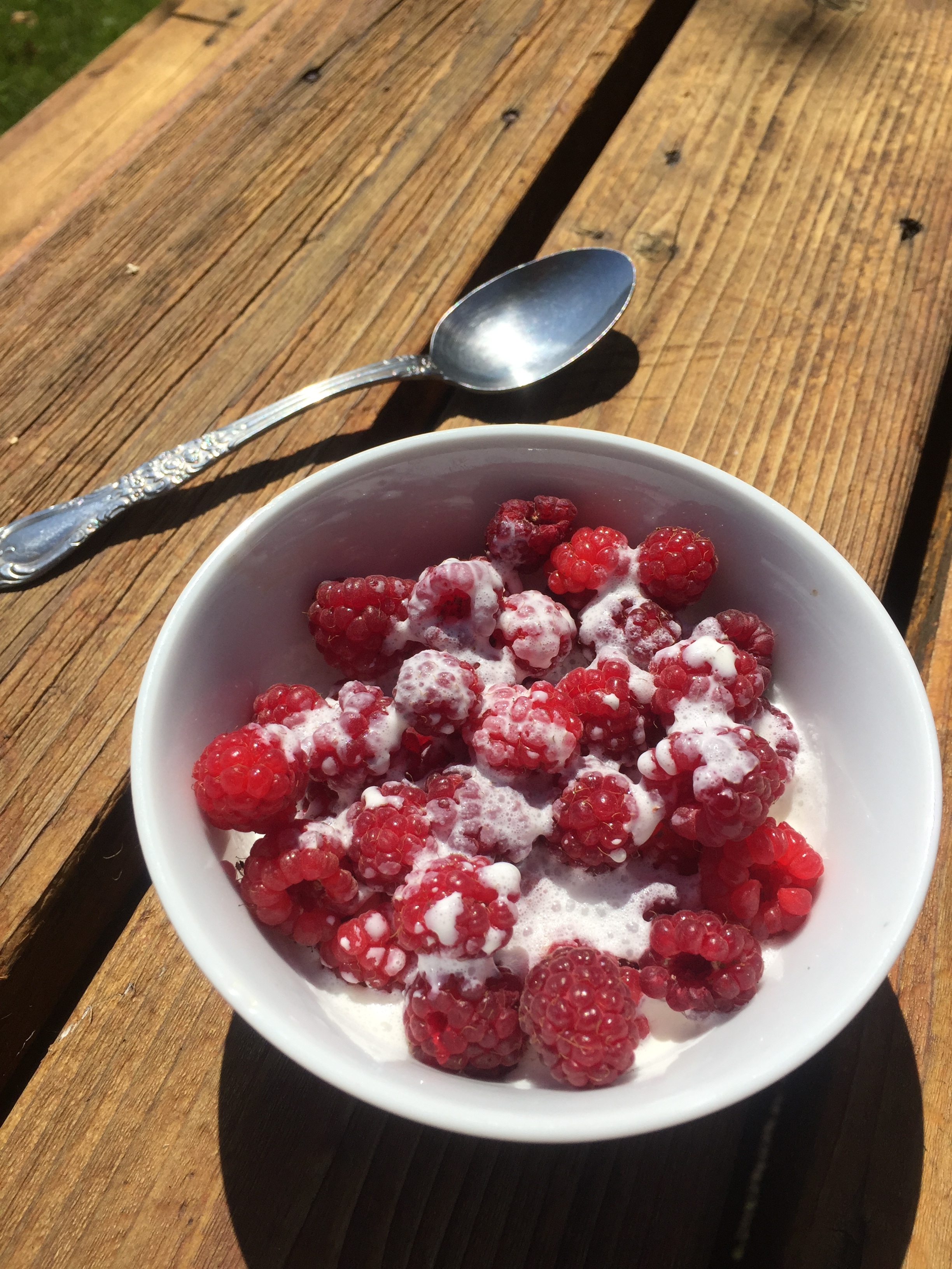 Fresh picked raspberries and cream. It doesn't get much more delicious.