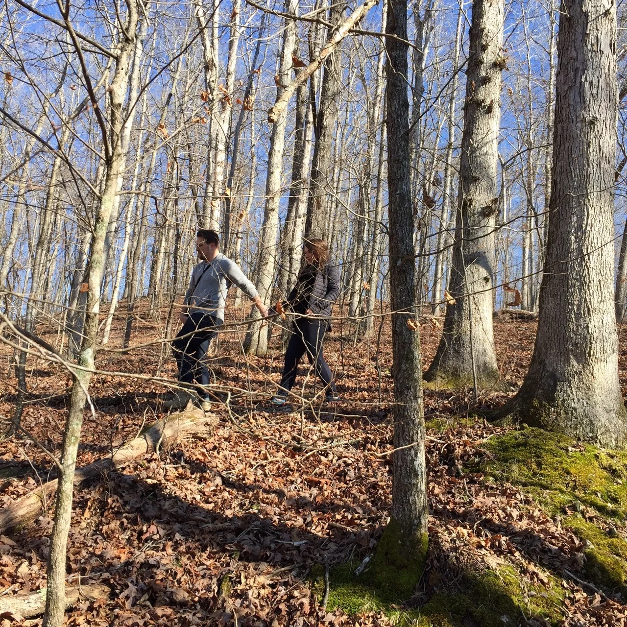 The Farm - Settling In