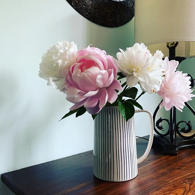 I knew these would not survive the rains so my #peonies came inside over the weekend. The smell is so lovely and these blooms are the best.