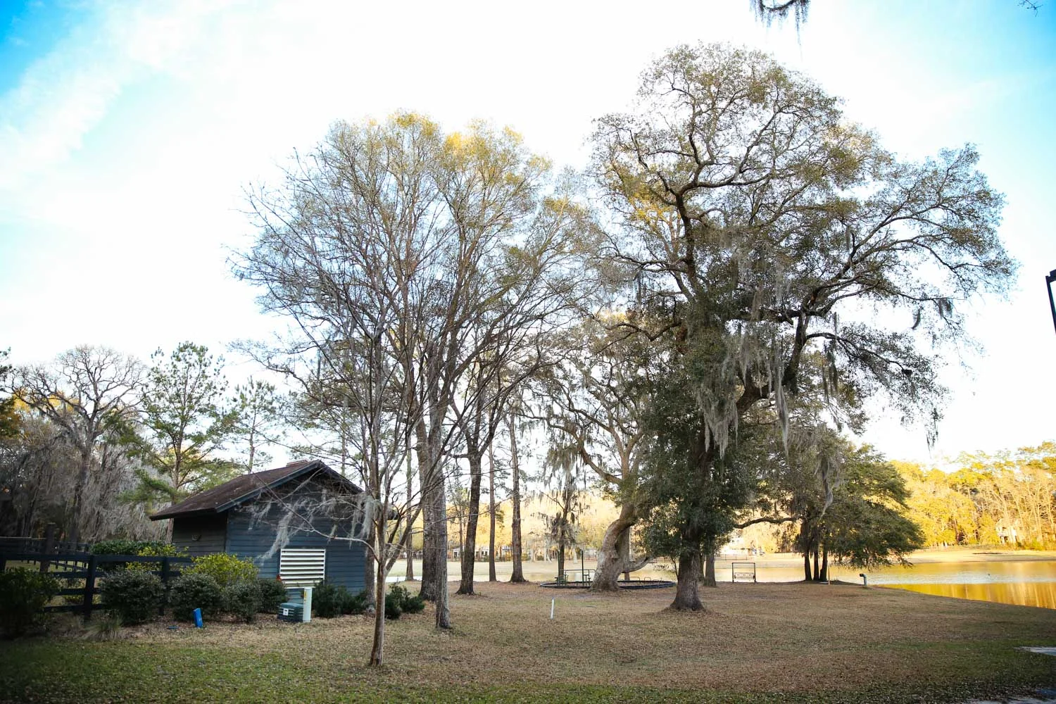 equestrian-property-for-sale-exterior-pond-shelter-storage