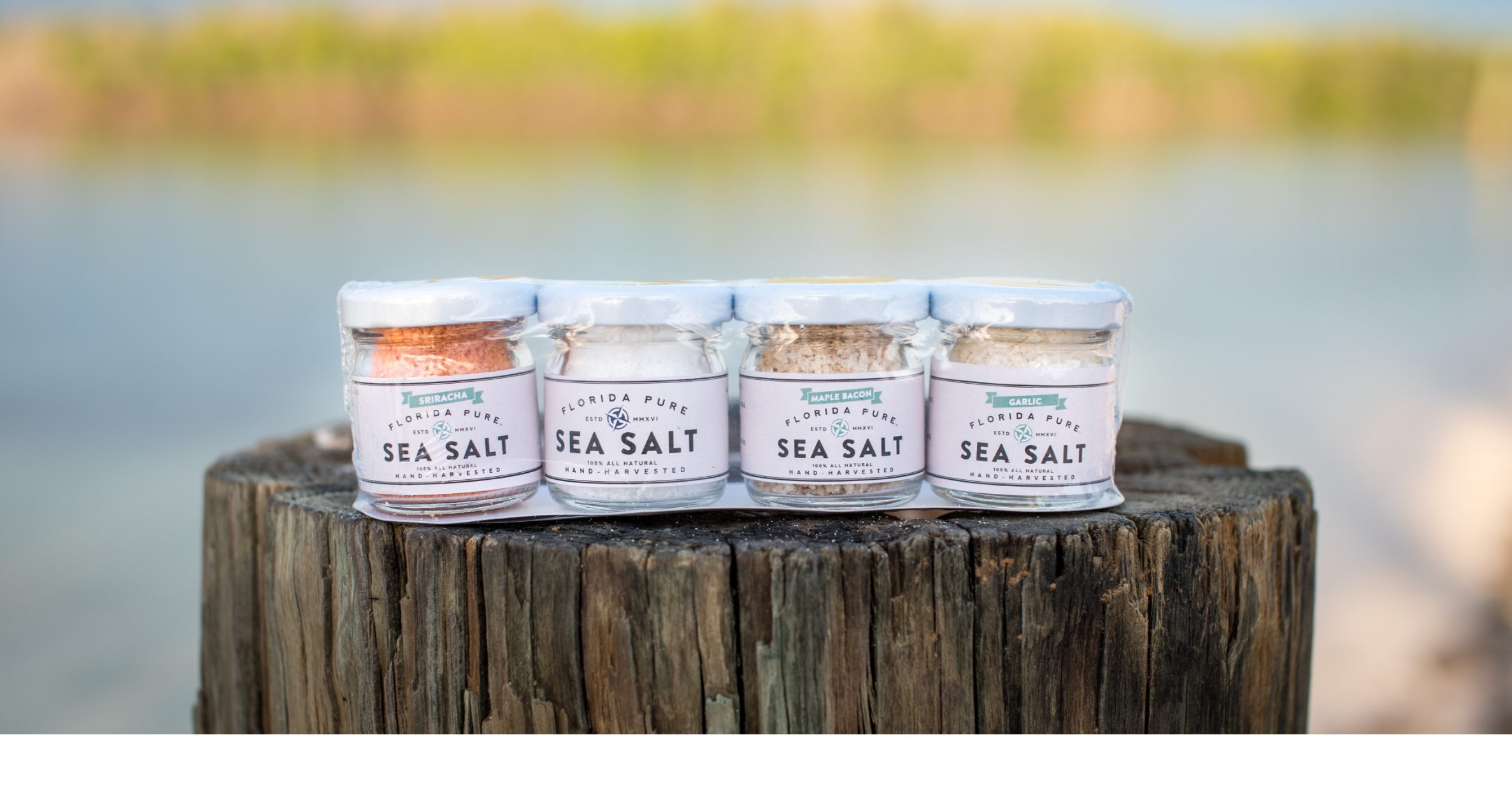 Florida Pure Sea Salt: From Hobby to Business