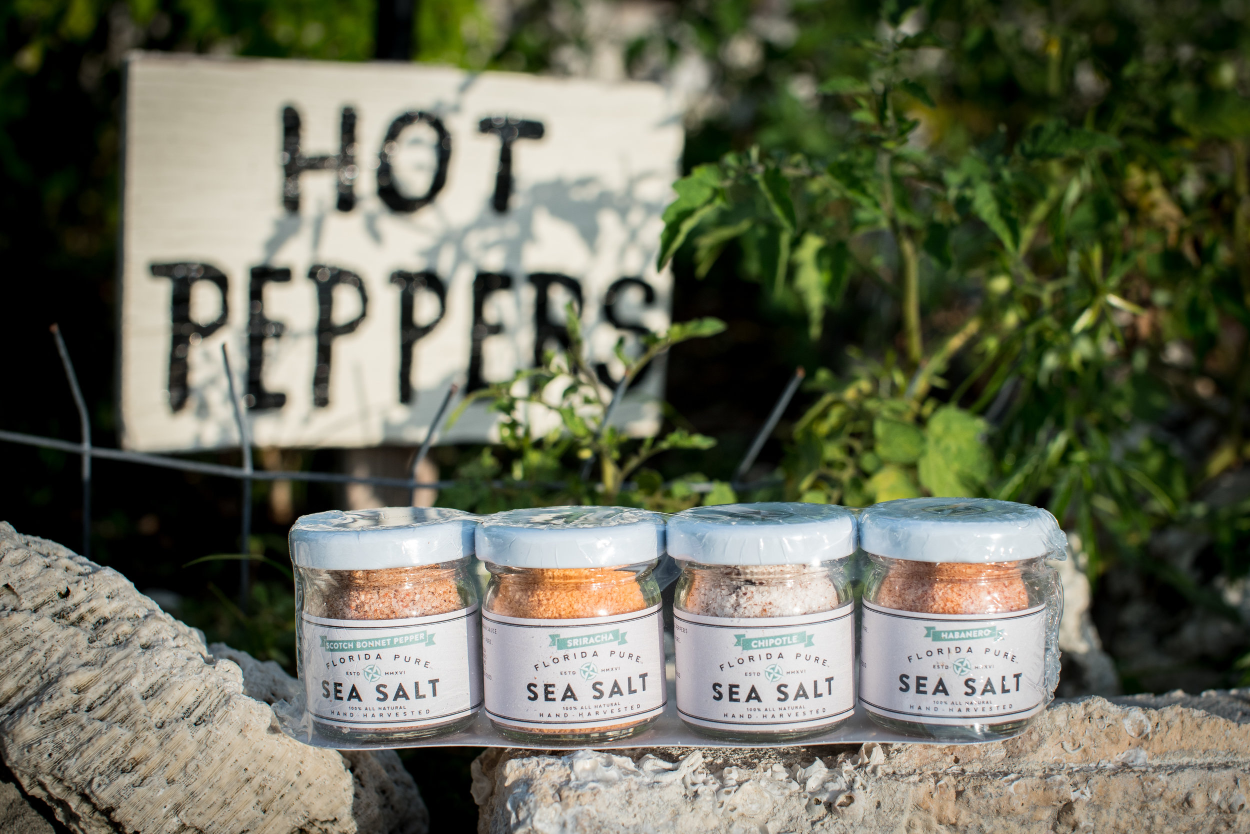 Salt &Amp; Pepper Sampler Set