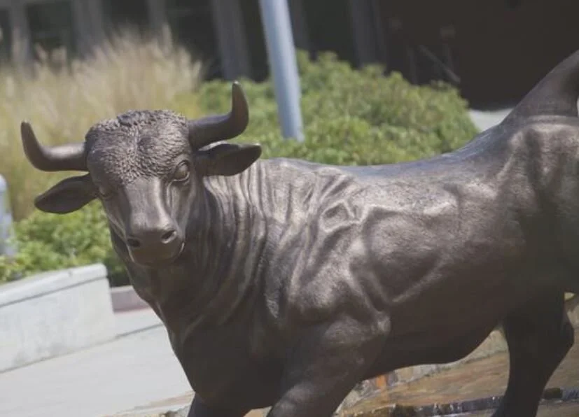 USF Partners With Eco-Friendly Businesses for Apprenticeship Program