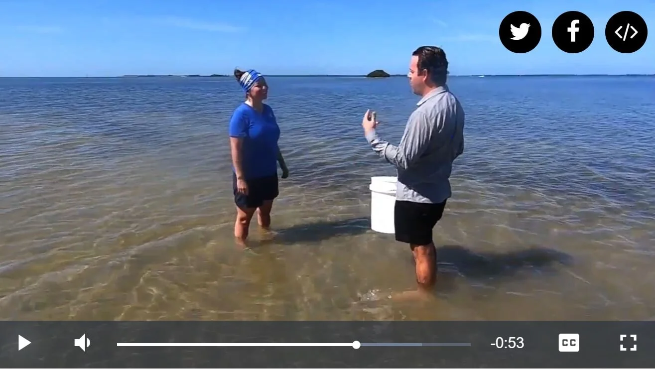 ABC Action News: Florida Pure Sea Salt sticks to its mission of giving back