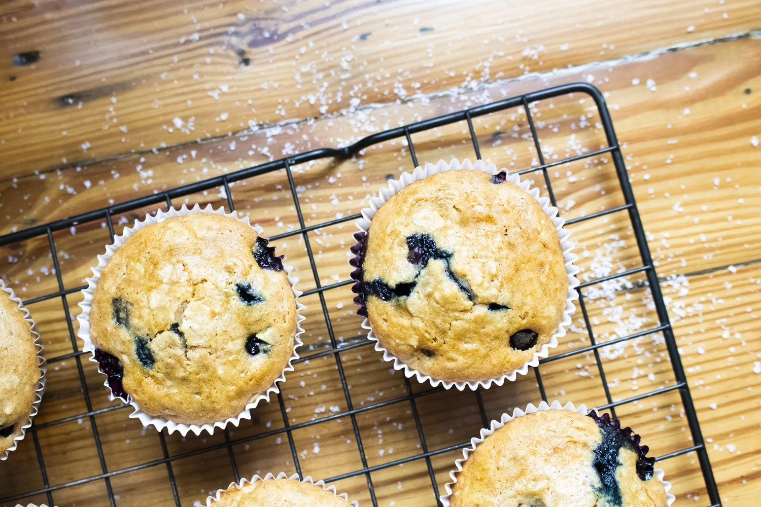 Blueberry Oatmeal Muffins