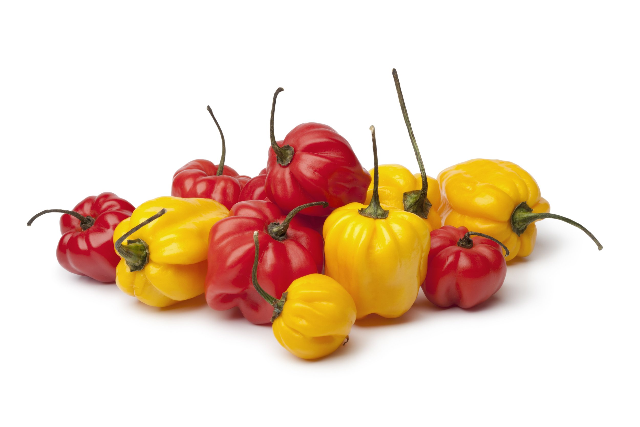 Scotch Bonnet Infused Sea Salt