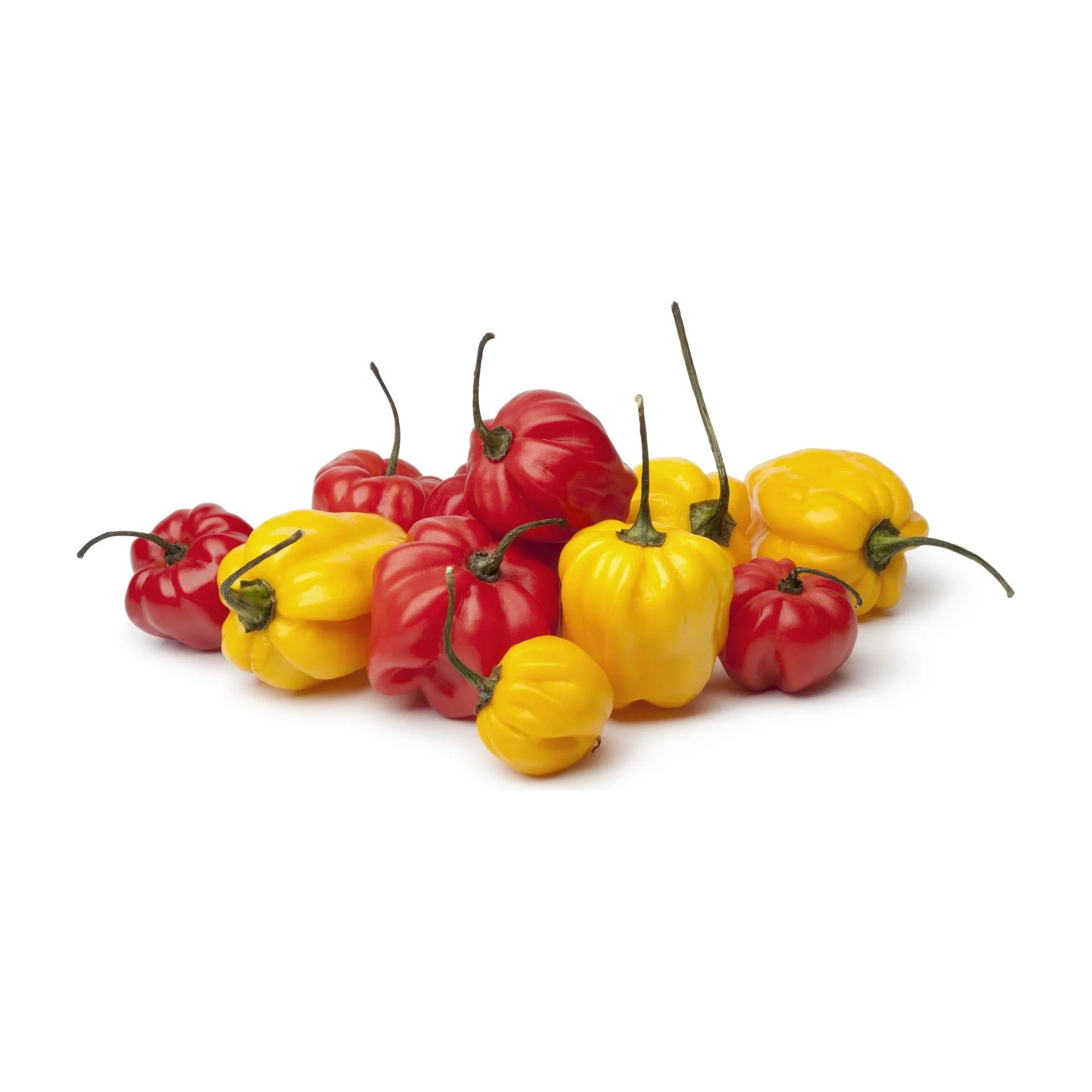 scotch_bonnet_square.jpg