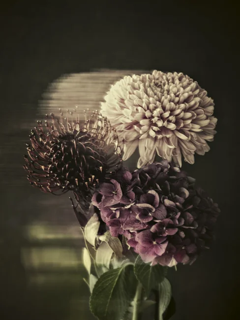 Großformatige Blumenbilder als Fine Art Print – zeitlose Eleganz für moderne Räume