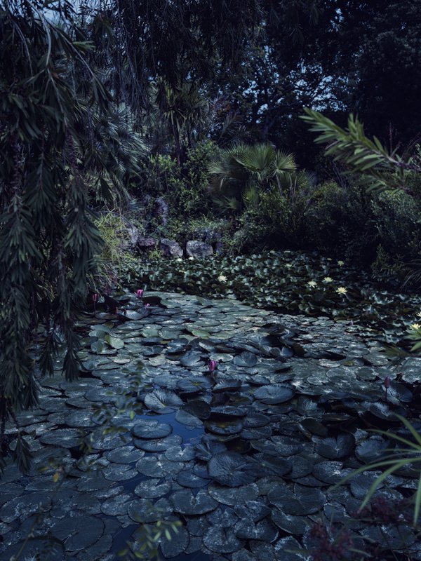 Mein Garten: Artenschutz und Kunstwerk