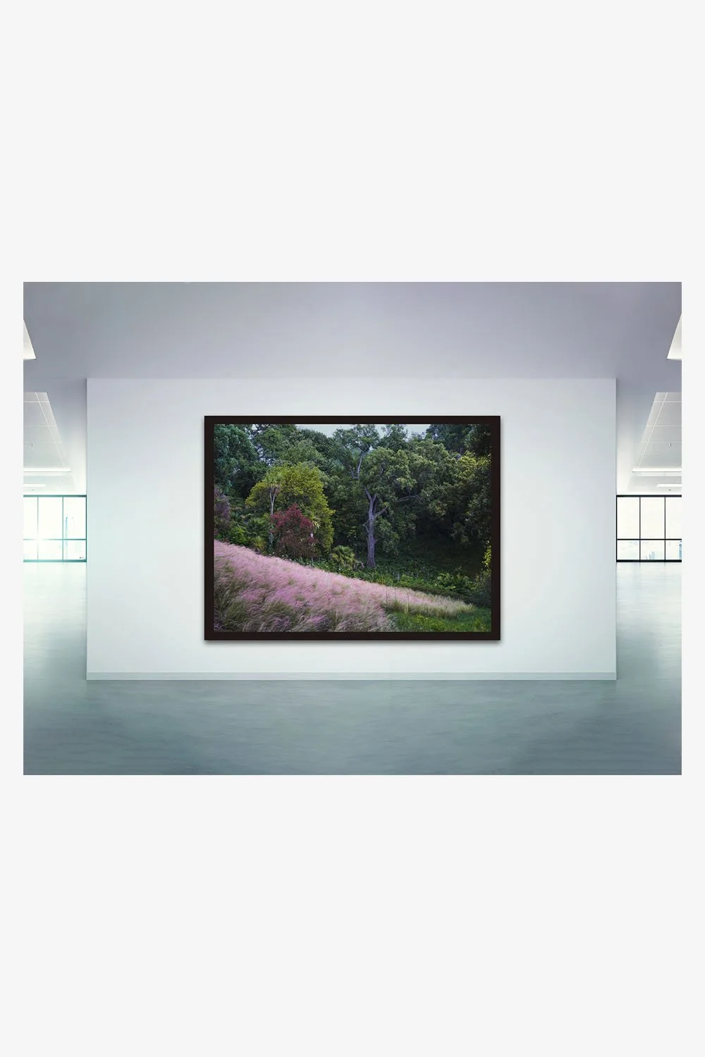 Naturfotografie als exklusive Wandkunst für Geschäftsräume