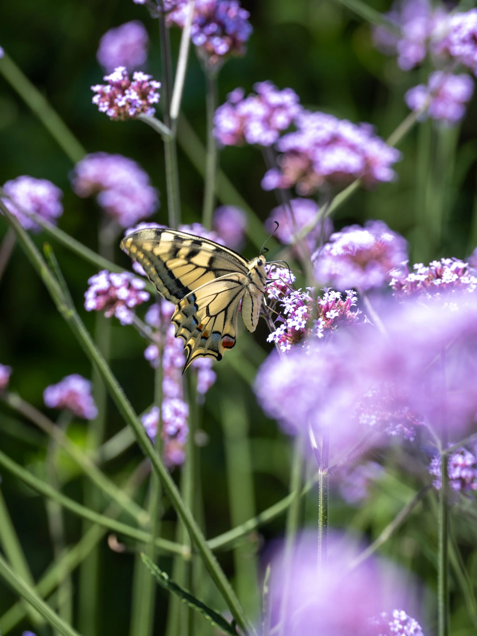 Der Garten als Studio- und Atelier-Erweiterung