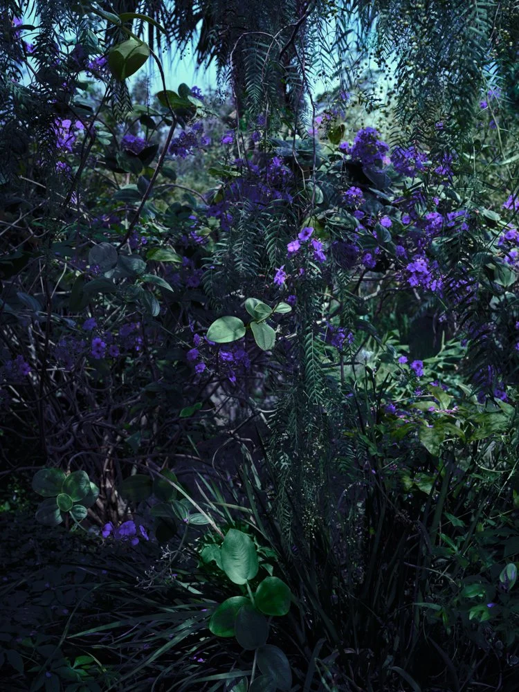 Exotic Garden, Italy 2022
