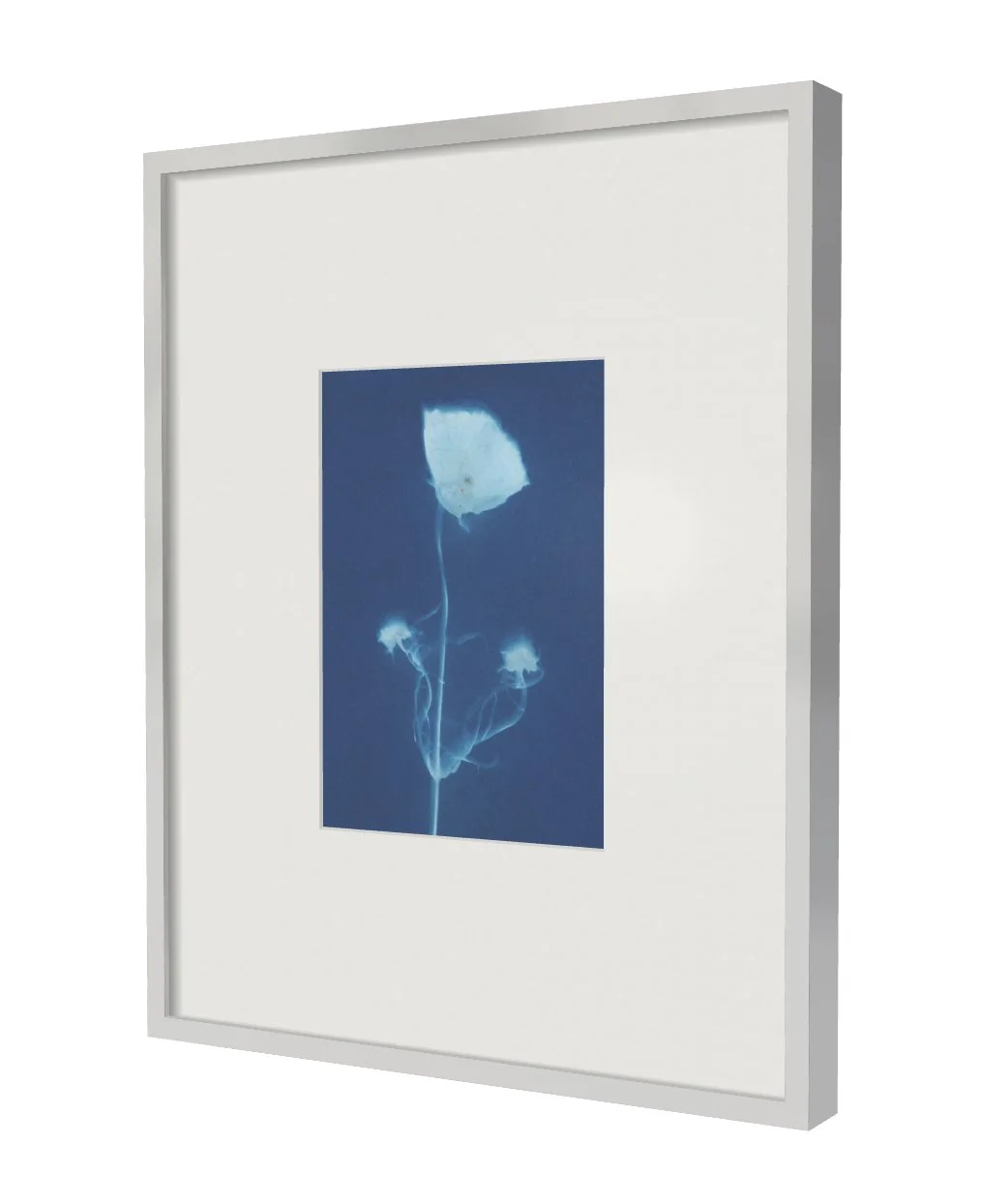 Rosetta _ TINA TRUMPP.jpg