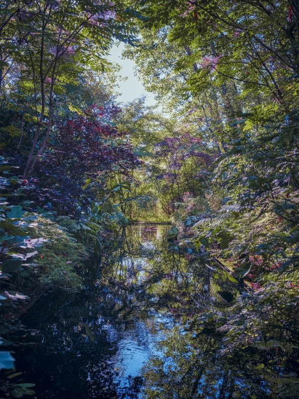 Reflections, France 2023
