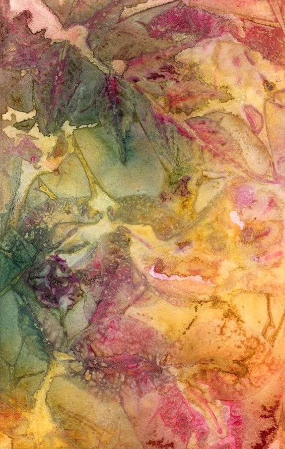 11 weinrot klein.JPG