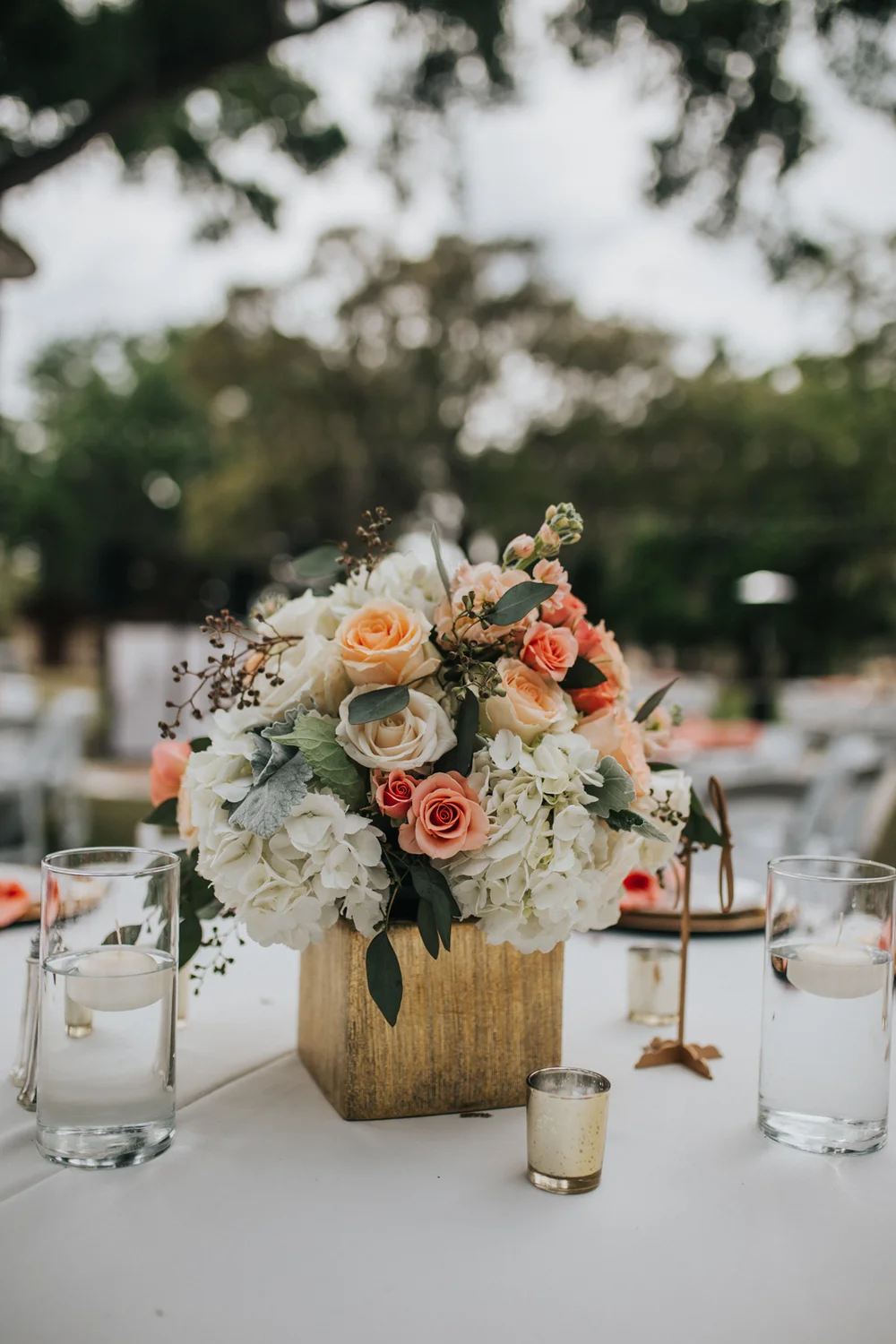 SUAREZWEB (1 of 1)-9.jpg