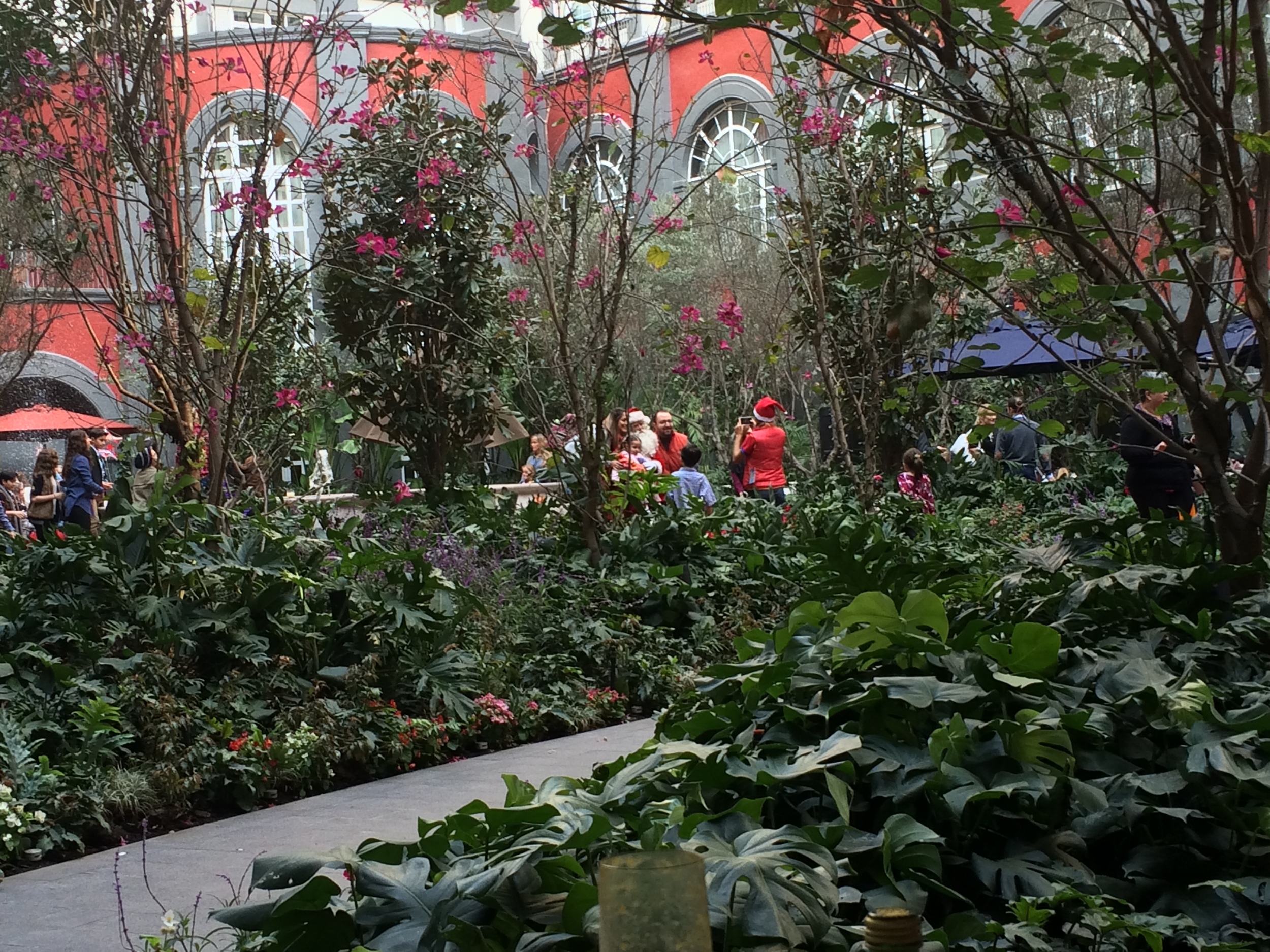 THE FOUR SEASONS, D.F. -CHRISTMAS BRUNCH