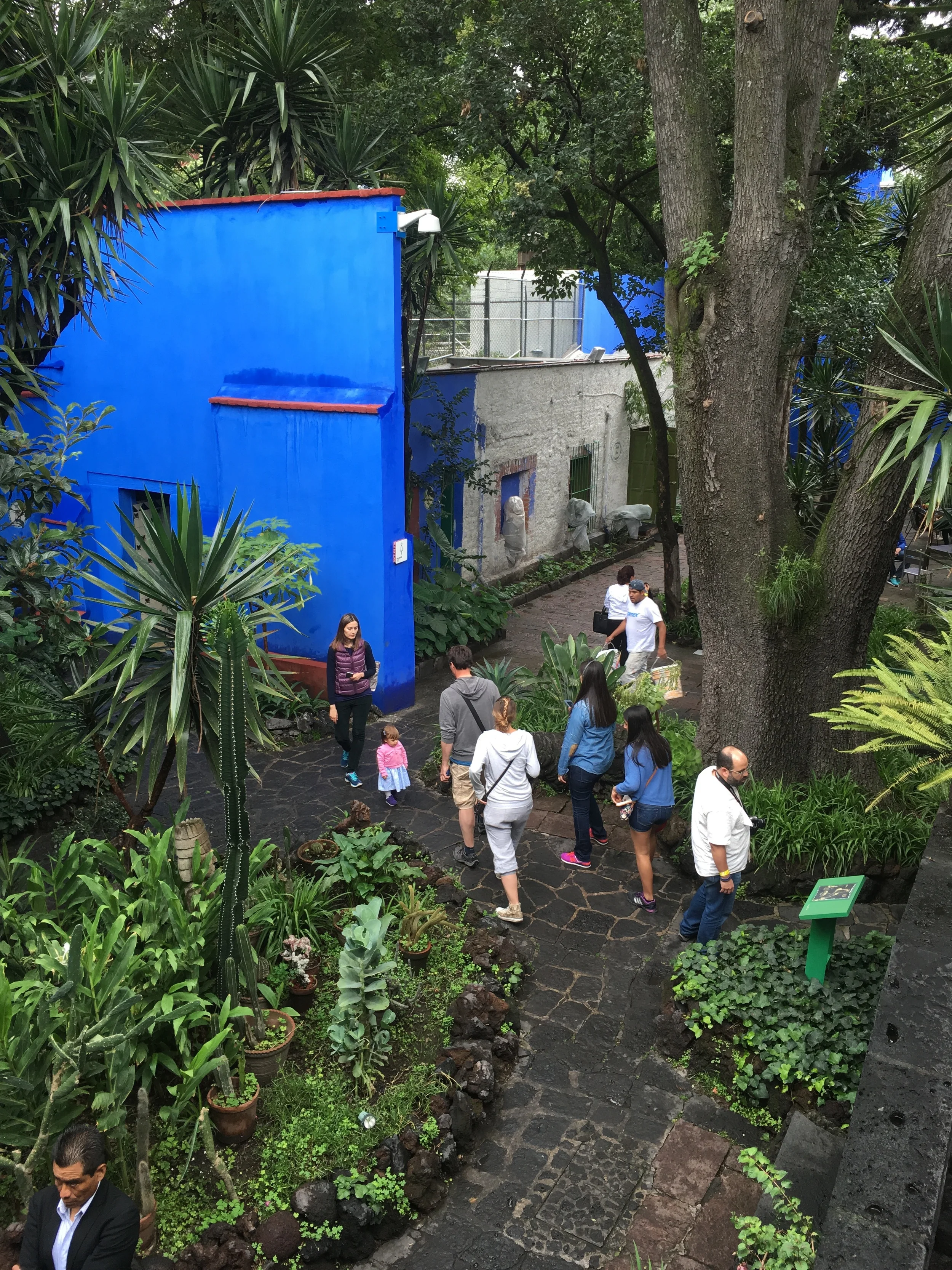 FRIDA KAHLO MUSEUM